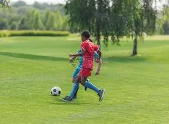 岁少年荣获,国家一级运,动员殊荣,爱游戏app,爱游戏官网,爱游戏体育官网,爱游戏体育app